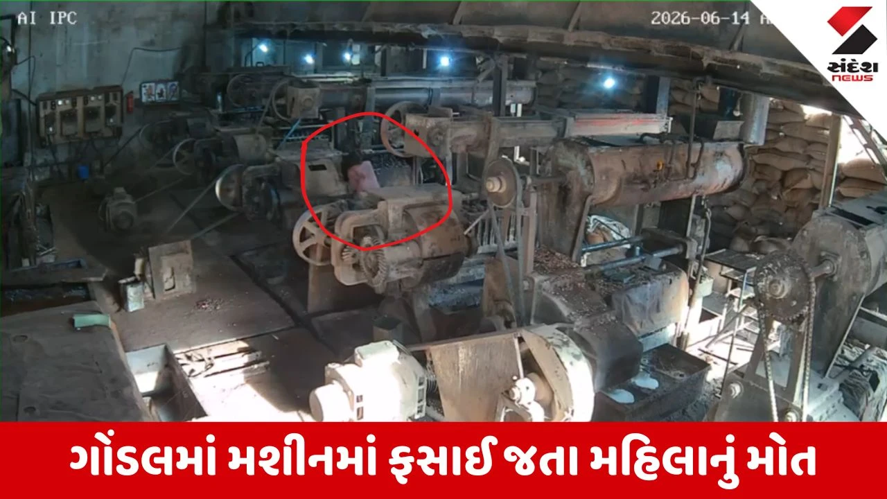 Rajkot News: ગોંડલમાં અવની ઓઈલ મિલમાં મશીનમાં ફસાતા મહિલાનું મોત, જુઓ Video