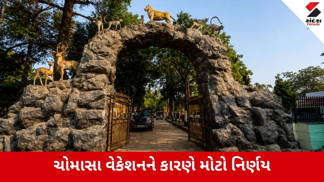 Junagadh : 16 જૂનથી ગિરનાર અને સાસણ ગીર સફારી 4 મહિના માટે બંધ, સિંહ દર્શન માટે ઓક્ટોબર સુધી જોવી પડશે રાહ..!