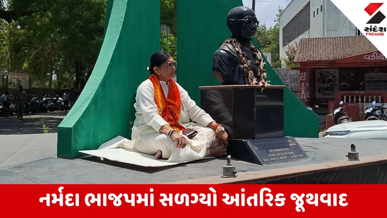 Narmada:સન્માન ન જળવાતા ભાજપના જ મહિલા ધારાસભ્યના ઉપવાસ, સાંસદના સમર્થનથી ગાંધીનગર સુધી રાજકારણ ગરમાયું