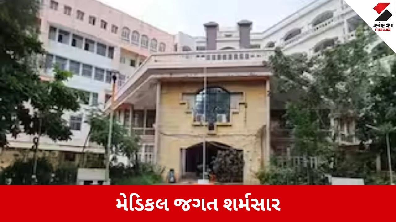 Bhavnagar મેડિકલ કોલેજમાં 13 જૂનિયરોનું રેગિંગ, ઓર્થોપેડિકના 6 સિનિયર ડોક્ટરો સામે ફરિયાદથી ગાંધીનગર સુધી હડકંપ