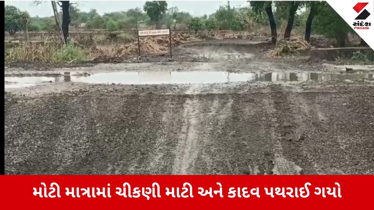 Waghodia Vadodara : પહેલા જ વરસાદે ખોલી પોલ, અંટોલી રોડ પર નવા નાળામાં તિરાડો, ભ્રષ્ટ કોન્ટ્રાક્ટર સામે કડક પગલાં ભરવા માગ
