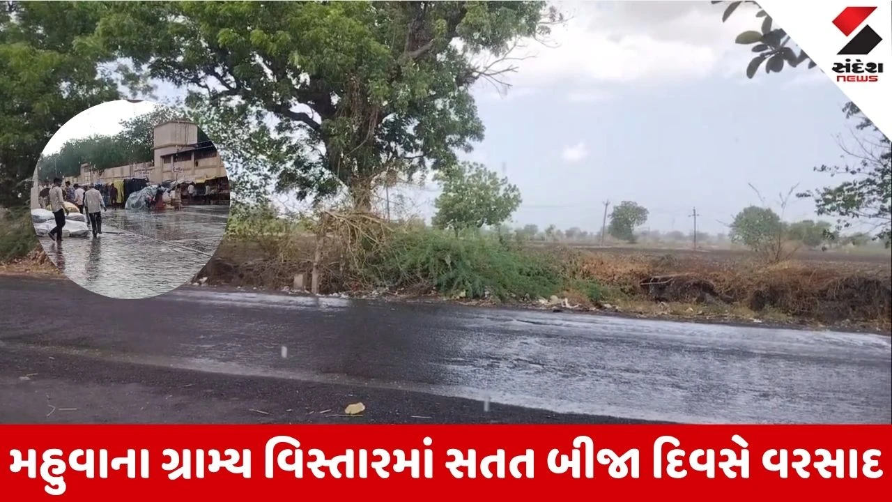Bhavnagar News: મહુવા પંથકમાં સતત બીજા દિવસે મેઘમહેર, ધોધમાર વરસાદથી વાવણી લાયક માહોલ
