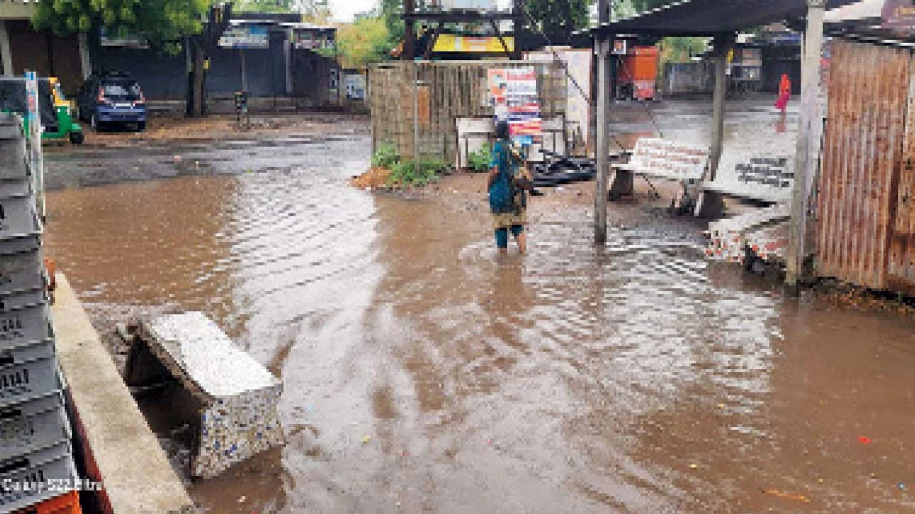 Chhotaudepur: નસવાડીમાં મળસ્કે 4 વાગ્યાથી સતત ચાર કલાક વરસાદ પડયો