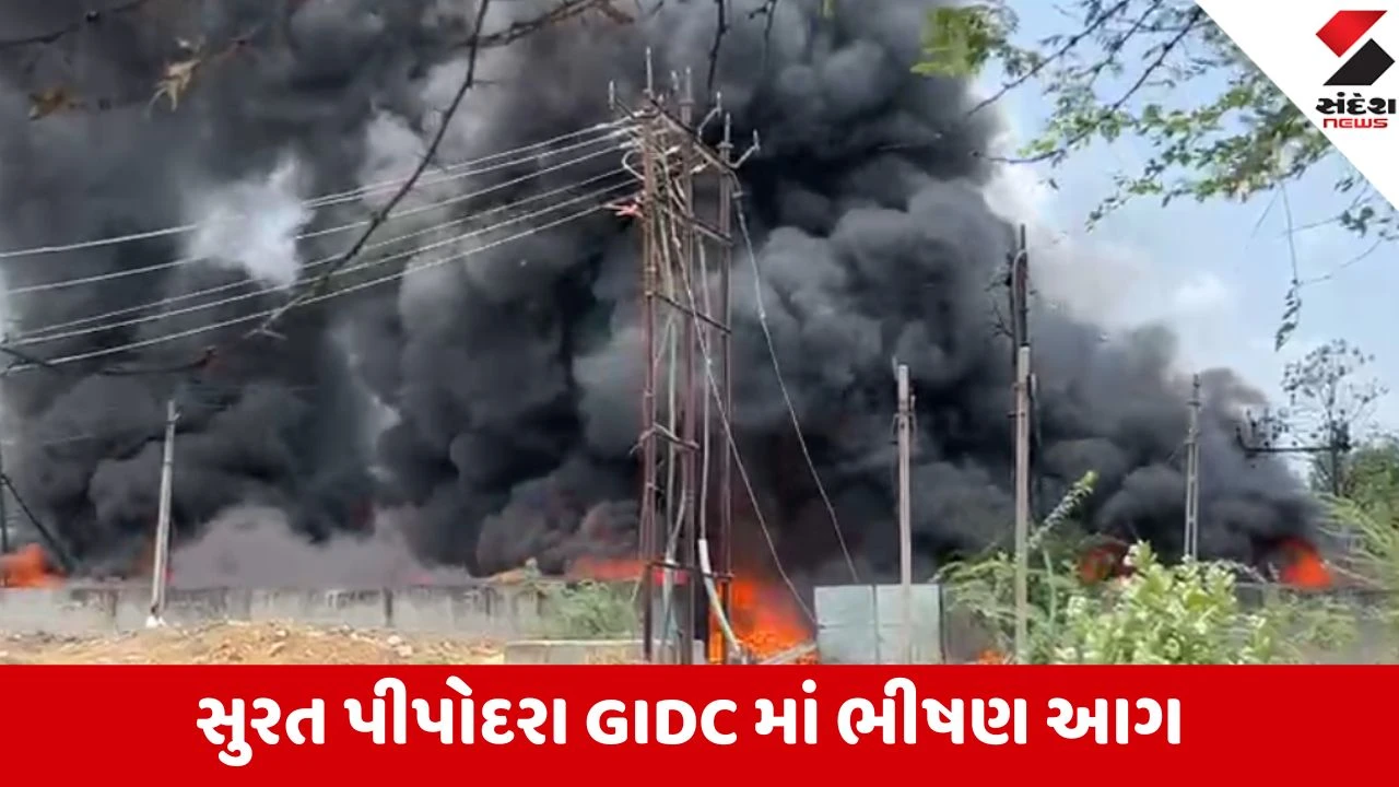 Surat: પીપોદરા GIDCમાં પ્લાસ્ટિકના સ્ક્રેપમાં લાગી ભીષણ આગ, ફાયરની ટીમો ઘટનાસ્થળે
