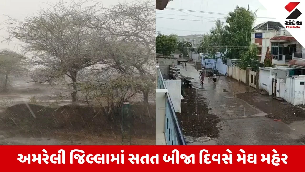 Amreli News: સાવરકુંડલા શહેર અને ગ્રામ્ય વિસ્તારોમાં ધોધમાર વરસાદ