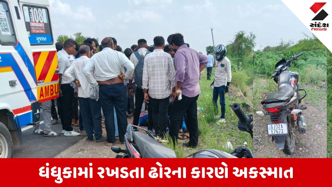 Ahmedabad News: ધંધુકામાં રખડતા ઢોરને કારણે અકસ્માત, બાઈકચાલકે ગુમાવ્યો જીવ