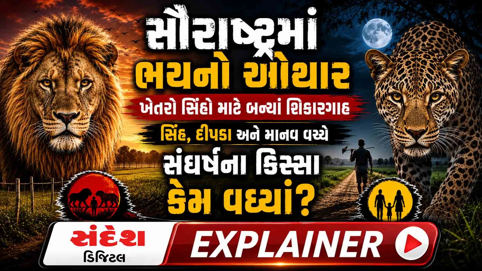 Sandesh Explainer: જાણો કેમ ગુજરાતમાં વન્યજીવ અને માનવ સંઘર્ષના કિસ્સા વધ્યા, સિંહ કરતાં દીપડા વધુ ખતરનાક?
