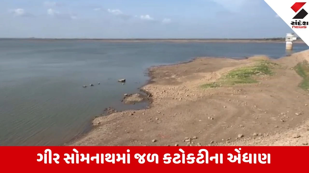 Gir Somnath: હિરણ-2 ડેમ તળિયાઝાટક થઈ માત્ર 19.45 ટકા પર પહોંચ્યો, જિલ્લાના પાંચેય જળાશયોની સ્થિતિ ચિંતાજનક