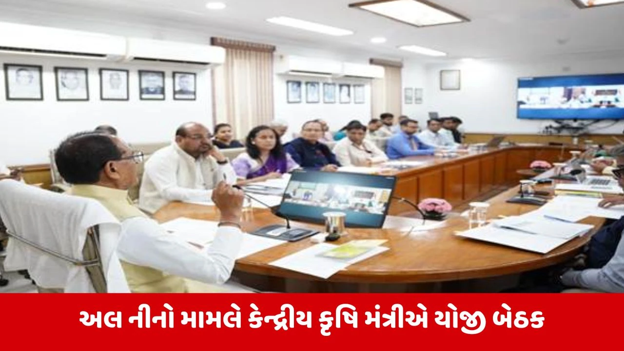 El Nino Impact : ગુજરાત સહિત 12 રાજ્યના 315 જિલ્લાઓ માટે ખાસ યોજના તૈયાર, ખેડૂતોને અપાઈ આ સલાહ