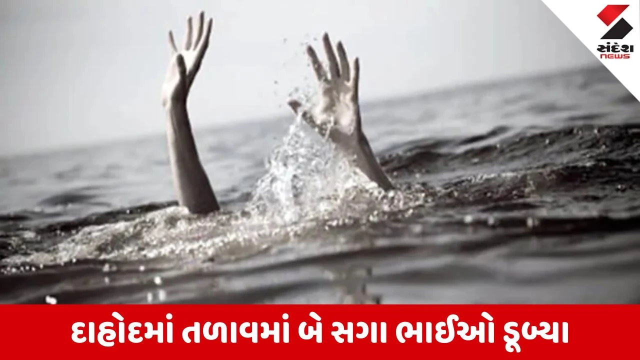 Dahod News: પાટડીયા ગામે તળાવમાં ન્હાવા પડેલા બે સગા ભાઈઓના મોત