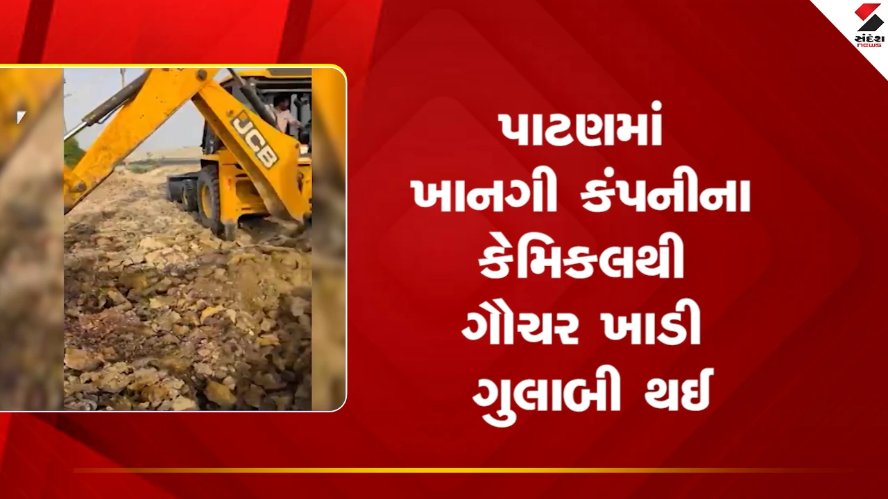 Patan News: ખાનગી કંપનીના કેમિકલથી ગૌચર ખાડી ગુલાબી થઈ