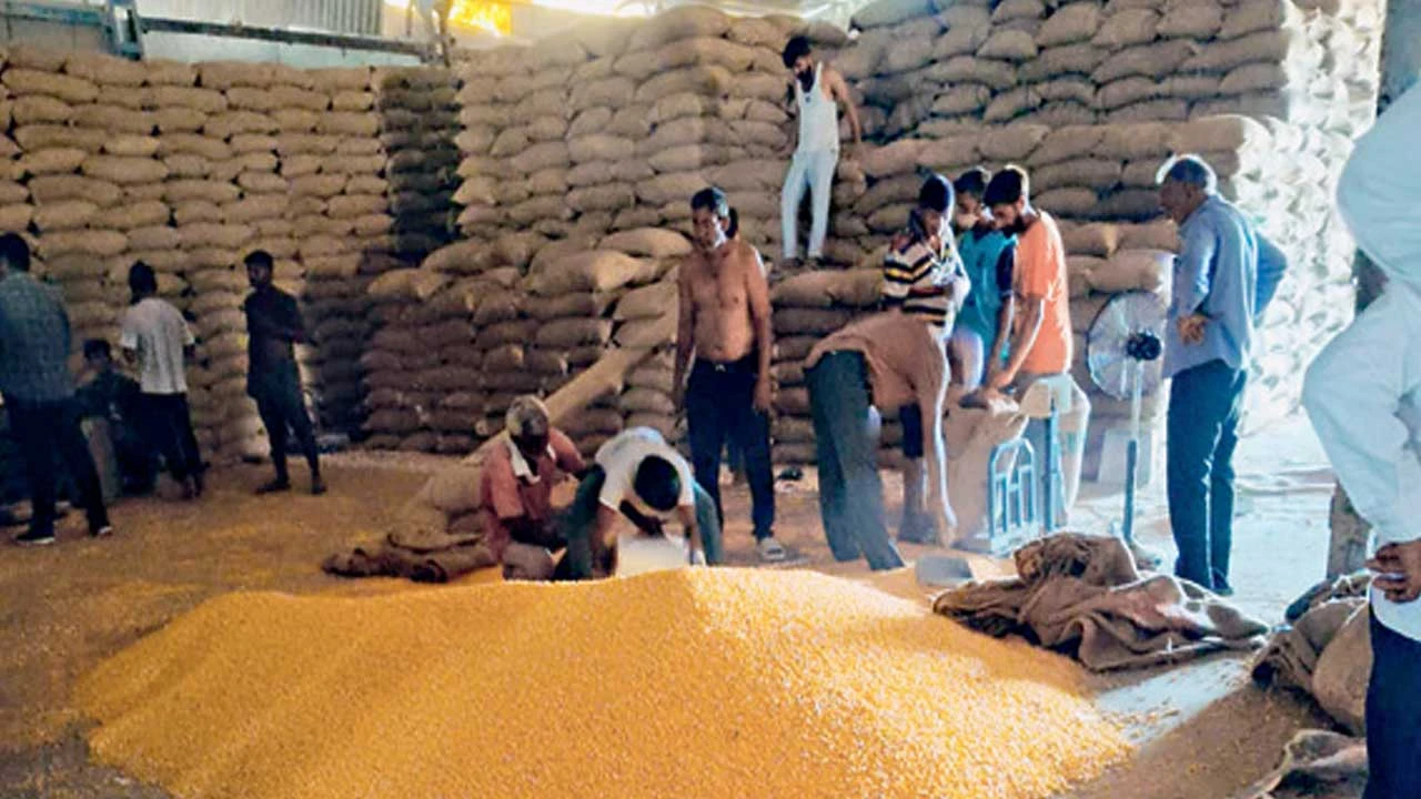 હિંમતનગર: ટેકાના ભાવે મકાઈ-બાજરી ખરીદીમાં ખેડૂતોને પડતી મુશ્કેલી, સુવિધાઓનો અભાવ