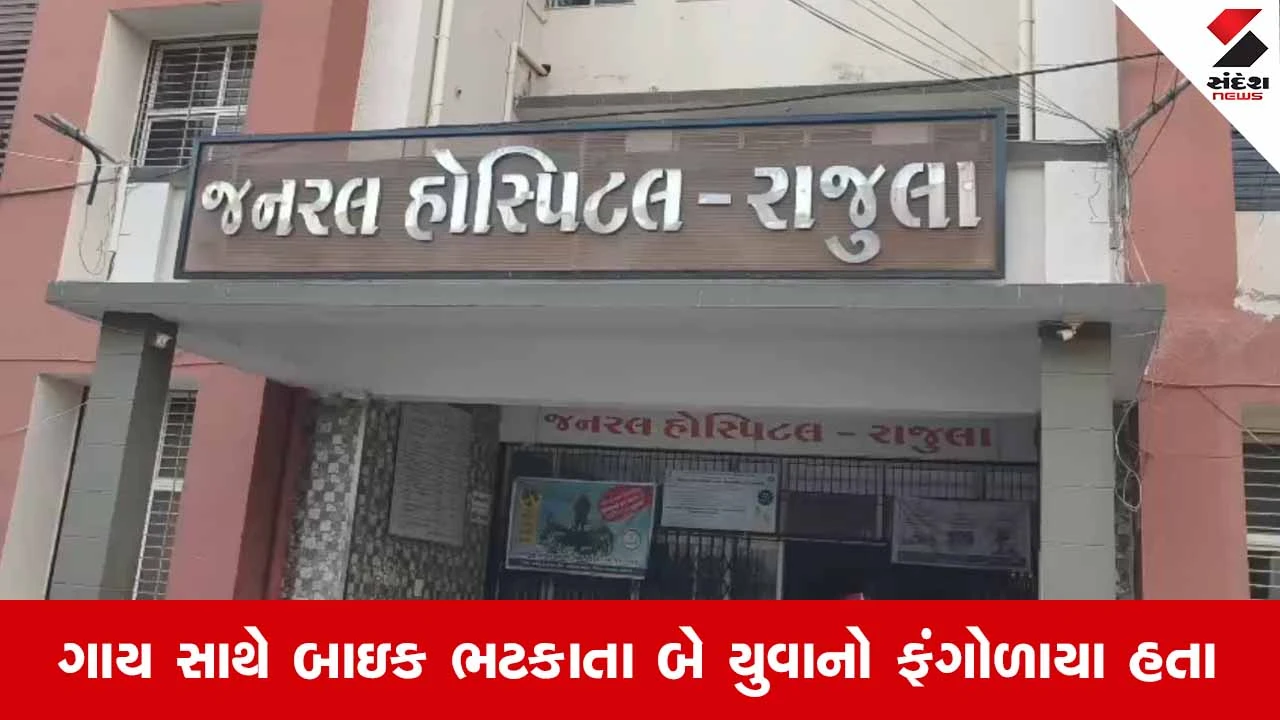 Amreli News: રાજુલા નજીક નેશનલ હાઈવે પર રખડતા પશુ સાથે બાઇક અથડાતા 25 વર્ષીય યુવાનનું કમકમાટીભર્યું મોત