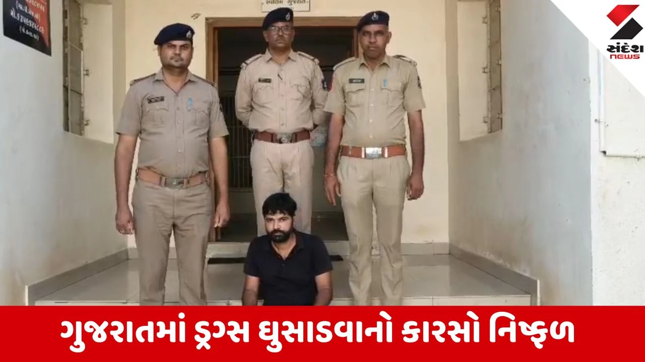 Palanpur: વૈભવી કારમાંથી 3 પ્રકારના ઘાતક ડ્રગ્સ સાથે ડીસાનો પેડલર ઝડપાયો, પોલીસે 5.30 લાખનો મુદ્દામાલ જપ્ત કર્યો