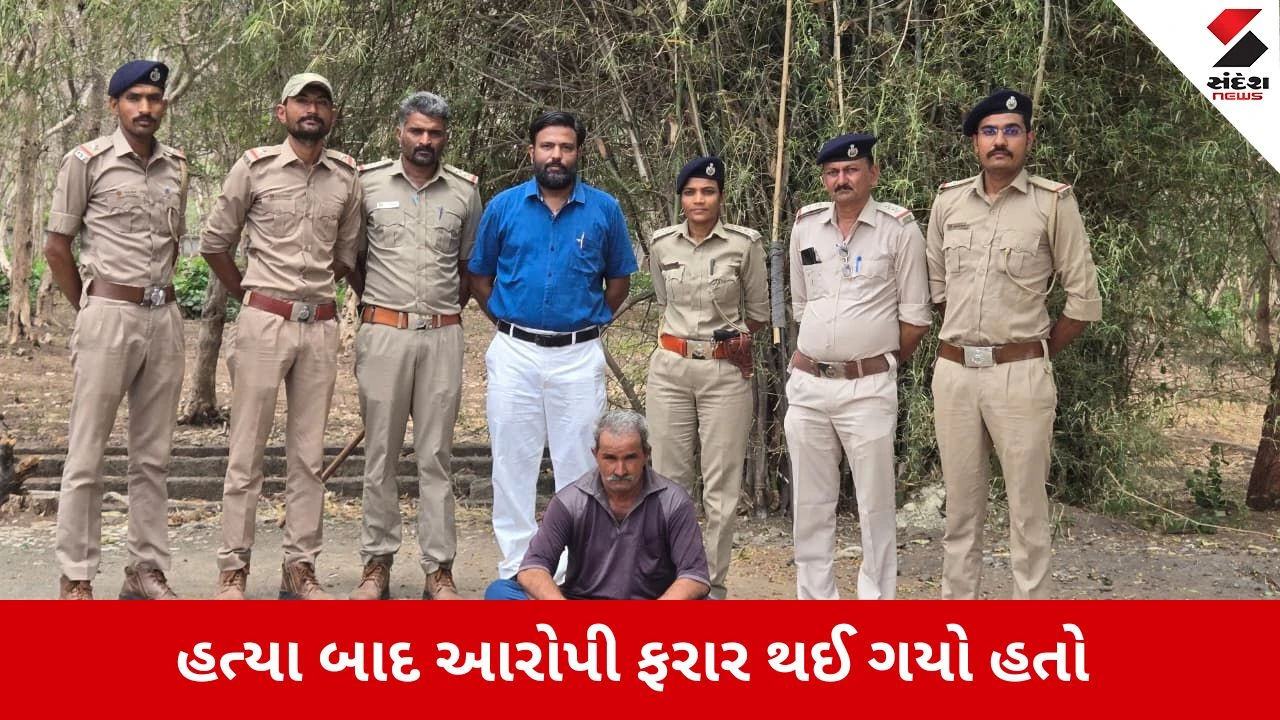Junagadh : સિંહ બાળની ક્રૂર હત્યા કરનારો શખ્સ આખરે દબોચાયો, વન વિભાગની મોટી સફળતા