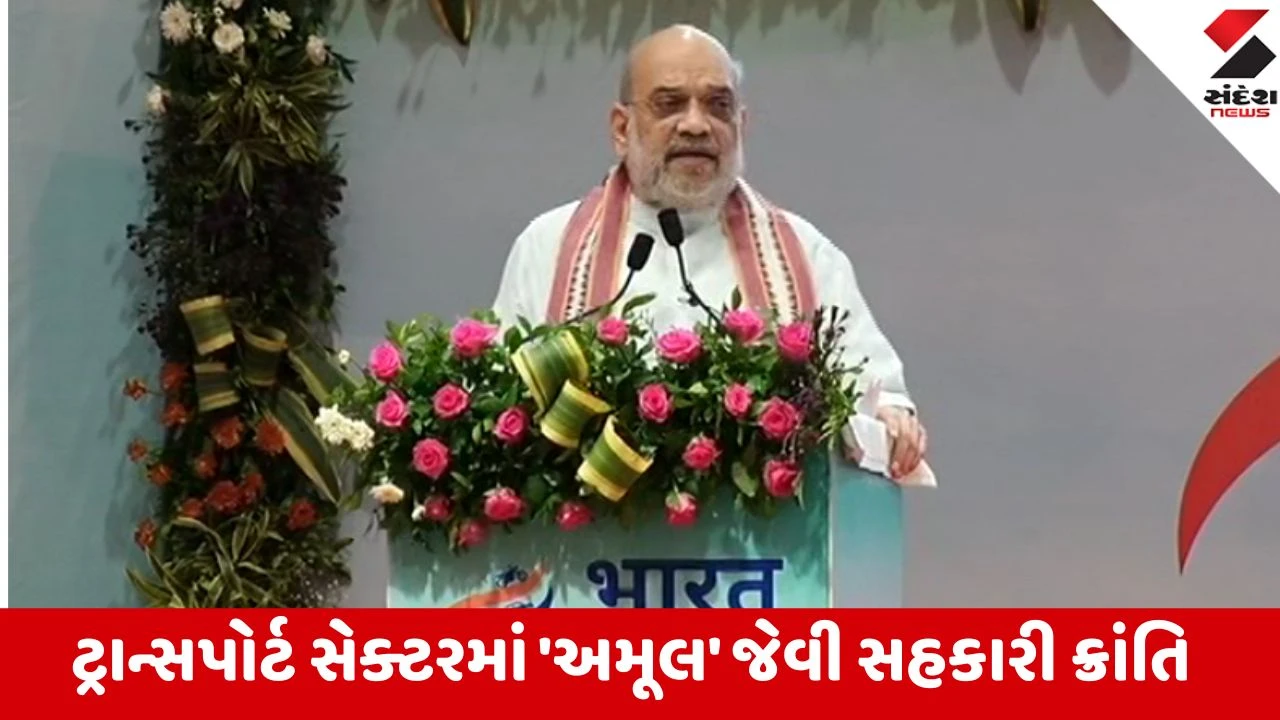 Gandhinagar: કેન્દ્રીય મંત્રી અમિત શાહના હસ્તે ગુજરાતમાં 'ભારત ટેક્સી'નું લોન્ચિં, 1.5 લાખથી વધુ સારથીઓ સાથે ક્રાંતિનો પ્રારંભ