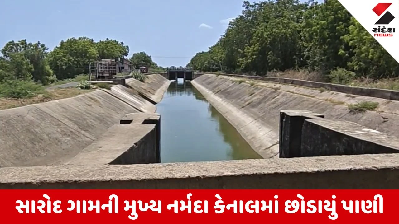 Bharuch News: વરસાદની અછત વચ્ચે ખેડૂતો માટે મોટા રાહતના સમાચાર, મુખ્ય નર્મદા કેનાલમાં છોડાયું પાણી