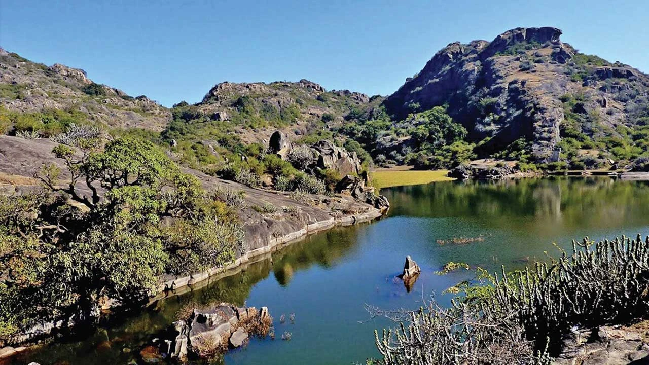 માઉન્ટ આબુ અભયારણ્ય: લુપ્ત થતાં પક્ષીઓ અને ઔષધીય વનસ્પતિઓનો દુર્લભ ભંડાર