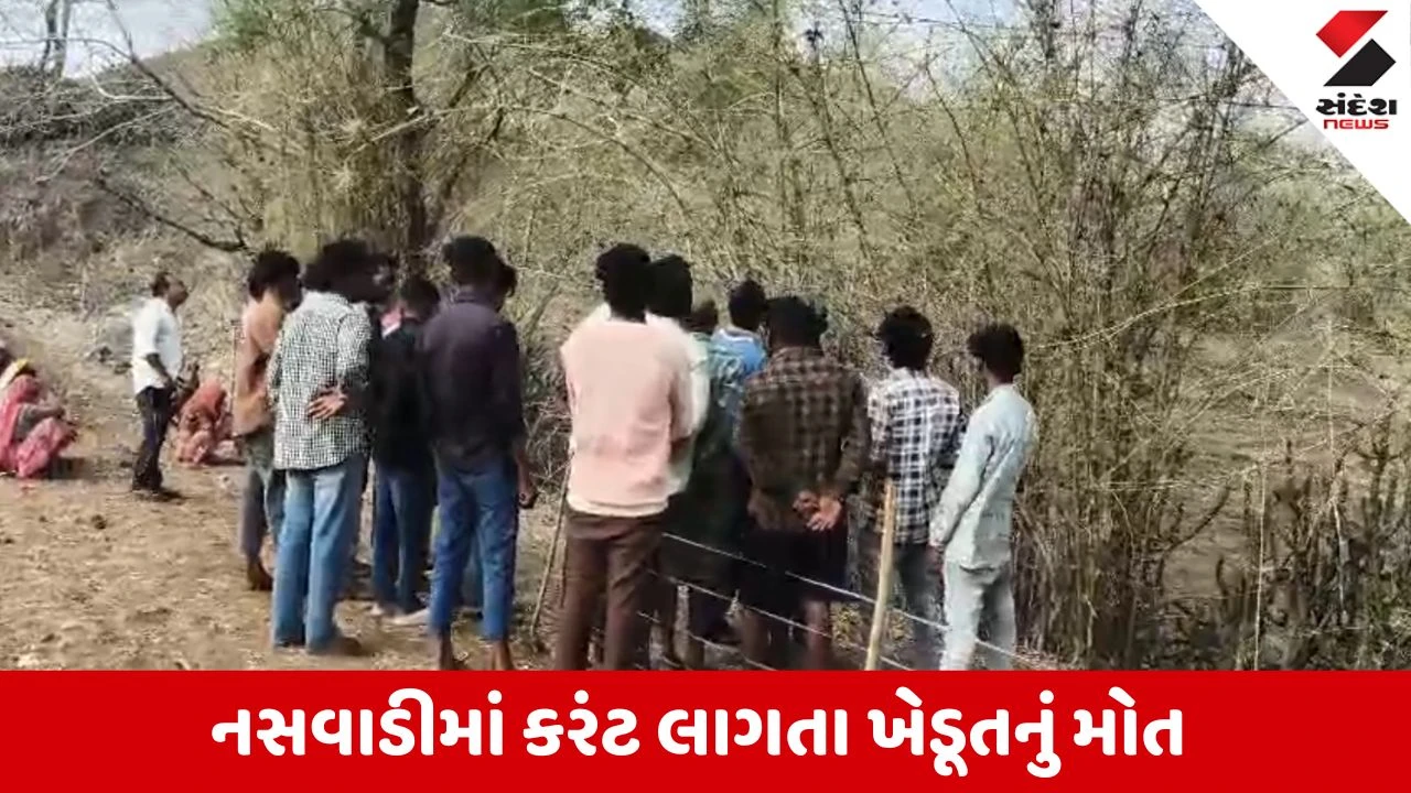 Chhotaudepur News: નસવાડીના કુકરદામાં હોનારત! નમી ગયેલી એચટી લાઈને ખેડૂતનો જીવ લીધો