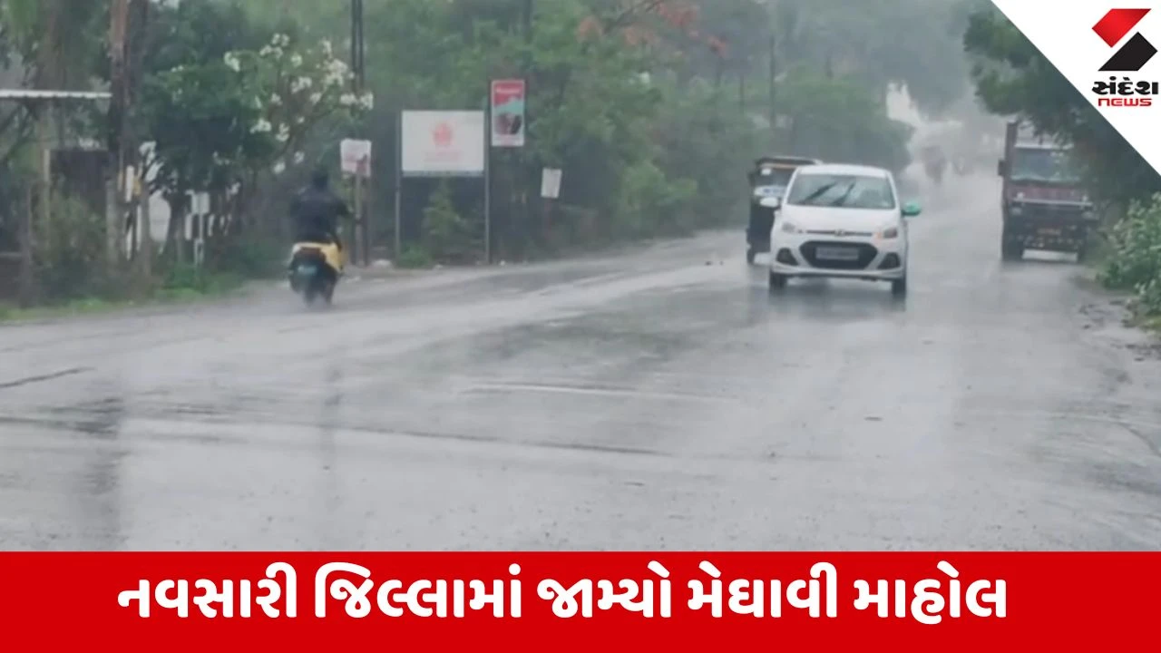 Navsari: દક્ષિણ ગુજરાતમાં મોસમનો મિજાજ બદલાયો, સવારથી જ કાળા ડિબાંગ વાદળો વચ્ચે વાવણી લાયક વરસાદ