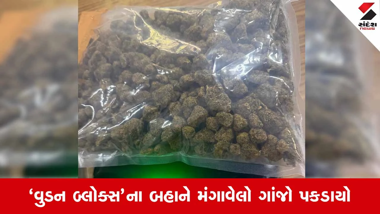 Ahmedabadમાં કસ્ટમ્સ વિભાગની કાર્યવાહી: થાઈલેન્ડથી પાર્સલમાં મોકલાયેલો લાખોનો ગાંજો ઝડપાયો