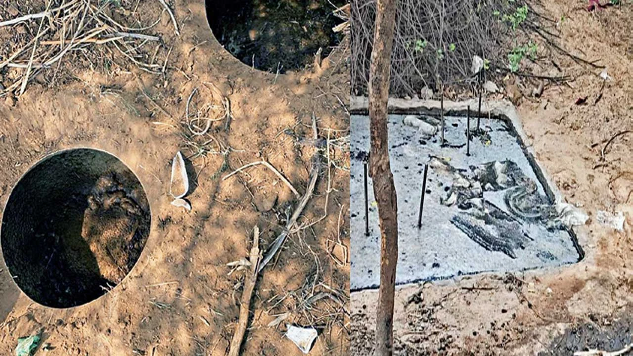 Himatnagar: પ્રાંતિજ તાલુકાના માવાની મુવાડી ગામની સમીમાંથી દેશી દારૂ ઝડપાયો