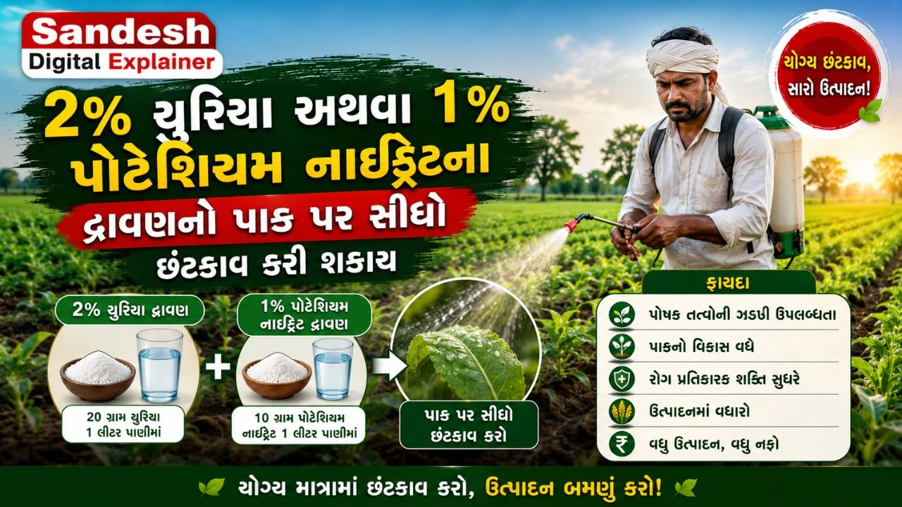 Gujarat Weak Monsoon: Life Saving Smart Agriculture Advisory for Farmers | Sandesh