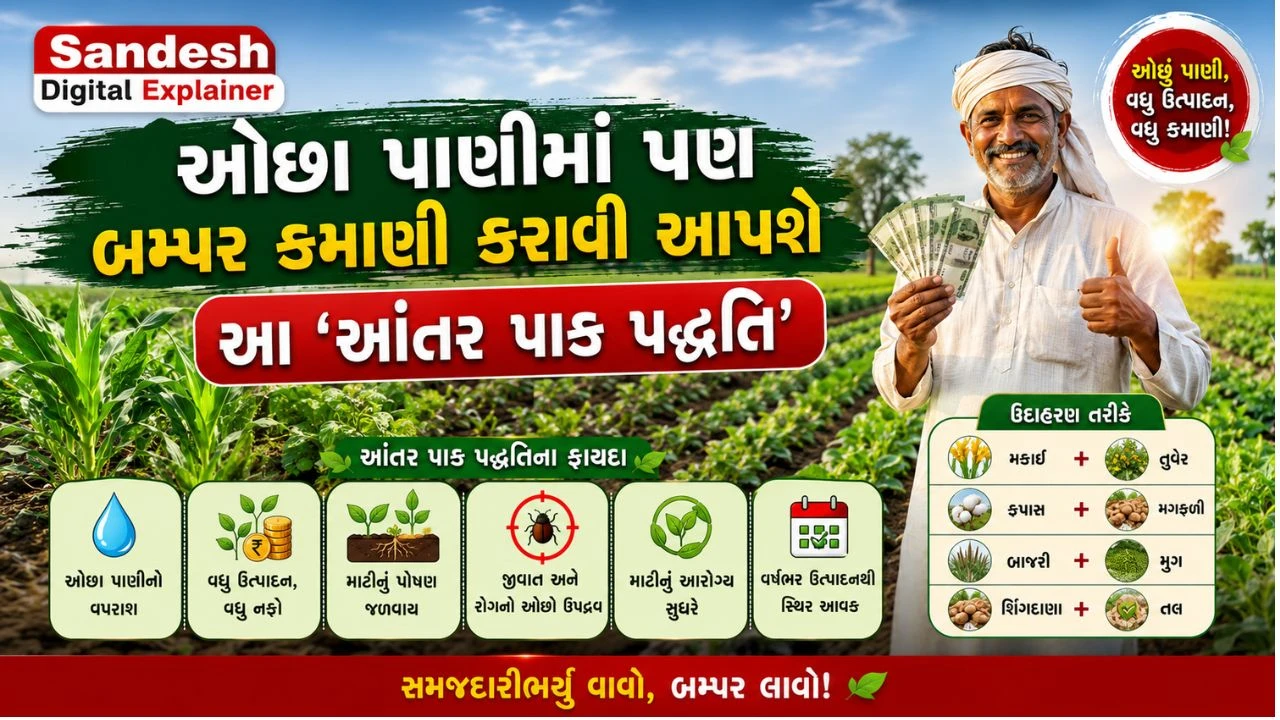 Gujarat Weak Monsoon: Life Saving Smart Agriculture Advisory for Farmers | Sandesh