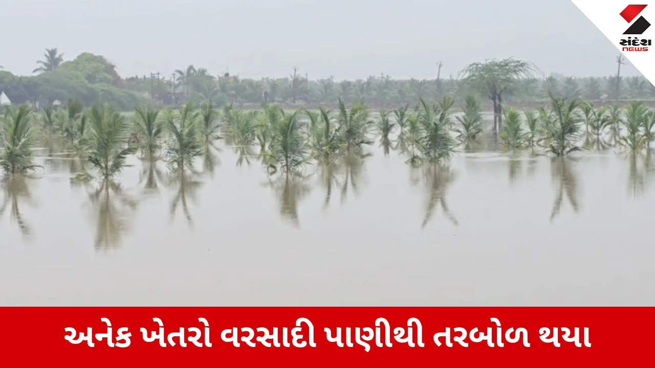 Monsoon 2026 : ગીર સોમનાથના સુત્રાપાડામાં 24 કલાકમાં 13 ઇંચ વરસાદ, ખેતરો બેટમાં ફેરવાયા અને મુખ્ય માર્ગો બંધ, Video
