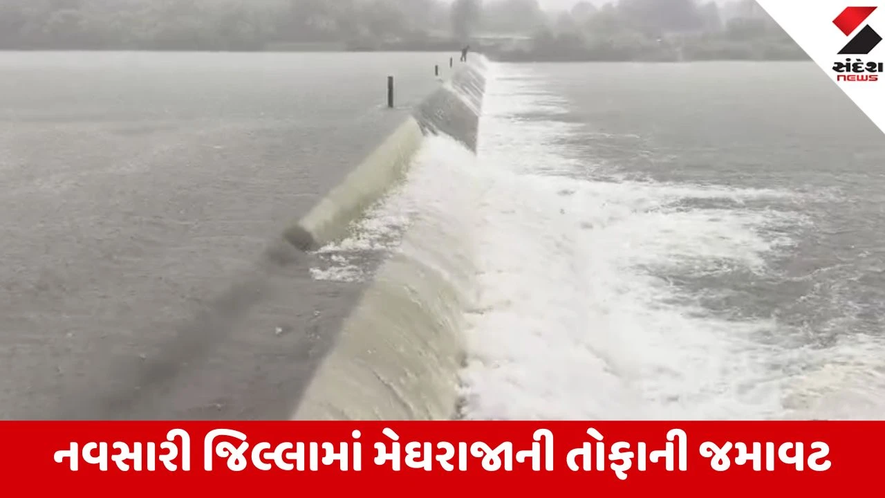 Navsari Rain: મેઘરાજાની જમાવટ વચ્ચે કાવેરી, અંબિકા અને પૂર્ણા નદીમાં નવા નીર આવ્યા