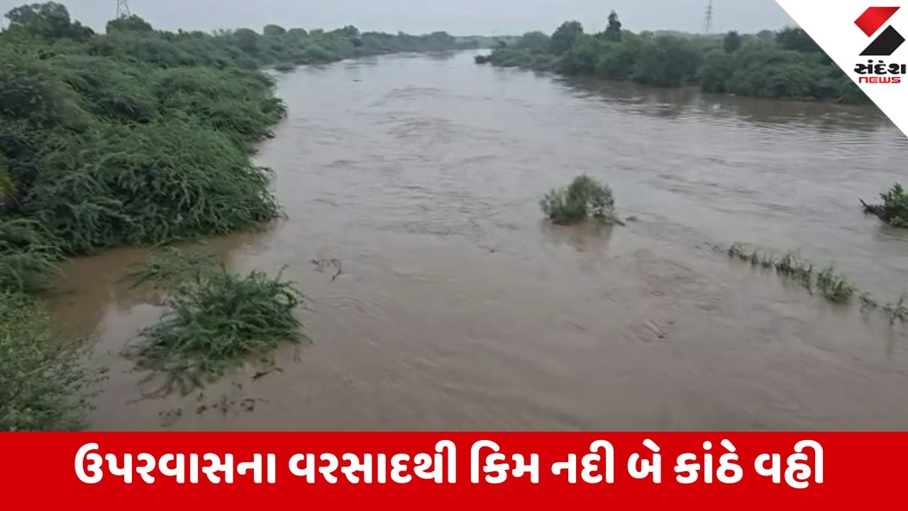 Surat Rain: ઉપરવાસમાં પડેલા ભારે વરસાદથી કિમ નદી બે કાંઠે વહી, ખેડૂતો ખુશખુશાલ થયા