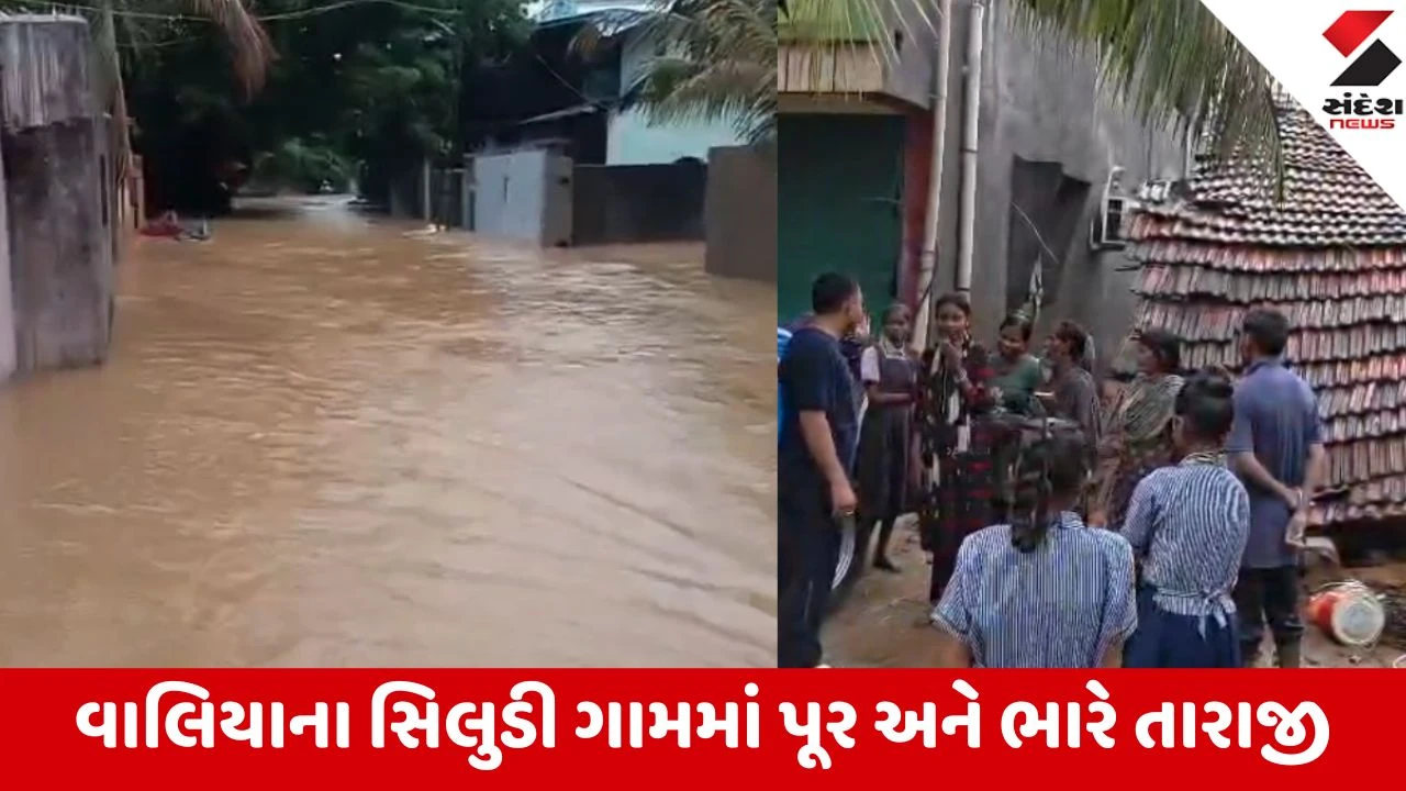Bharuch Rain: સિલુડી ગામમાં કમર સુધી પાણી ભરાતા પૂર જેવી સ્થિતિ, 10 થી વધુ મકાનોમાં પાણી ઘૂસતા ભારે તારાજી