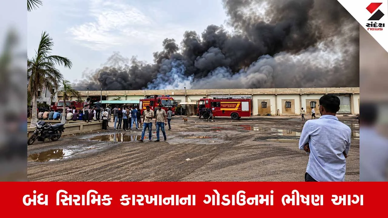 Morbiમાં ભયાનક અગ્નિકાંડ: રફાળેશ્વર GIDCના ગોડાઉનમાં ભીષણ આગથી હજારો મણ મગફળીનો જથ્થો ખાખ 