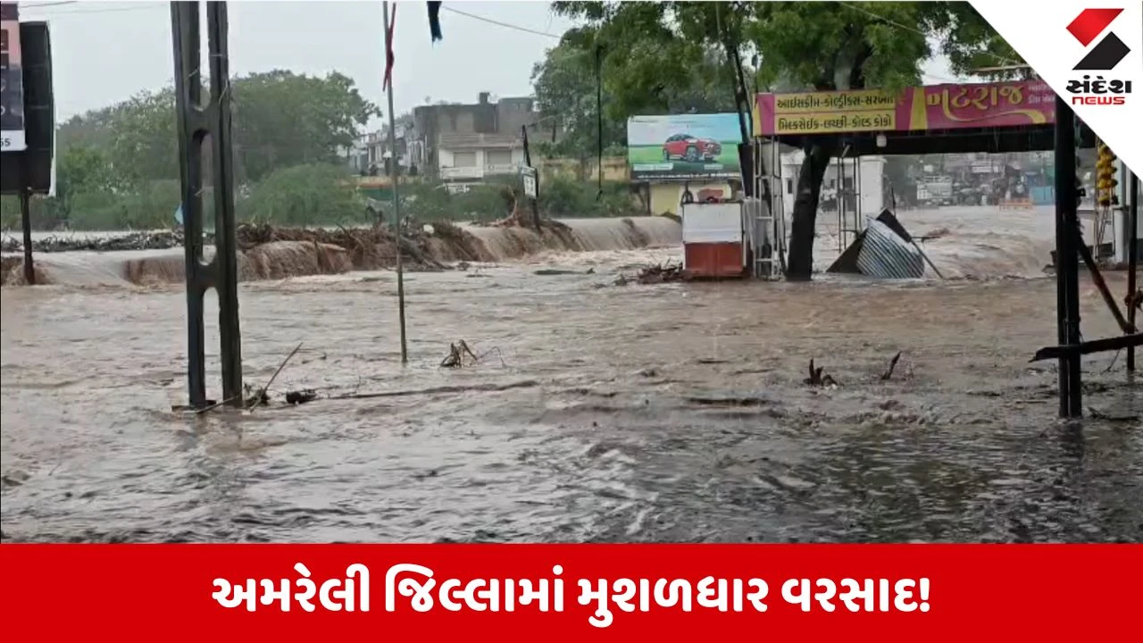 Amreli Rain Update: જિલ્લામાં ઠેર ઠેર ભારે વરસાદ, 68 લોકોનું દિલધડક રેસ્ક્યૂ, શાળાઓમાં રજા જાહેર