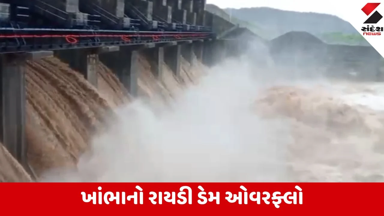 Amreli Rain: રાયડી ડેમ ઓવરફ્લો થતાં ફરી 8 દરવાજા ખોલાયા, નદીના પટમાં જવા પર કડક પ્રતિબંધ