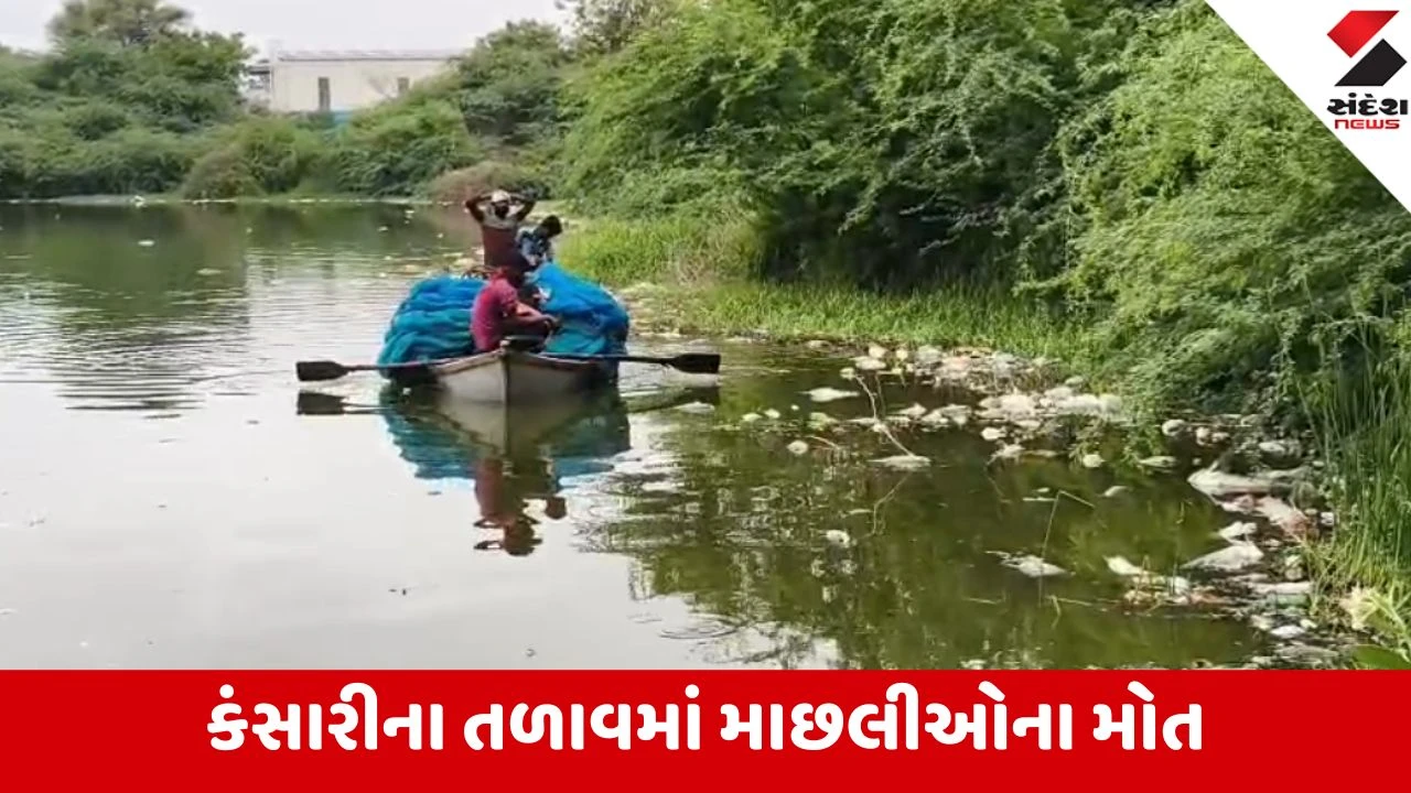 Anand: કંસારીમાં ઉદ્યોગો પાપ છાપરે ચડીને પોકાર્યું, તળાવમાં ઝેરી કેમિકલ છોડાતા તમામ માછલીઓનો મોત