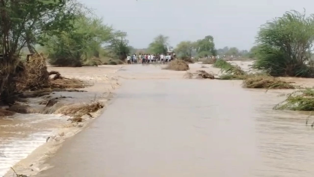 bhavnagar luvar gam