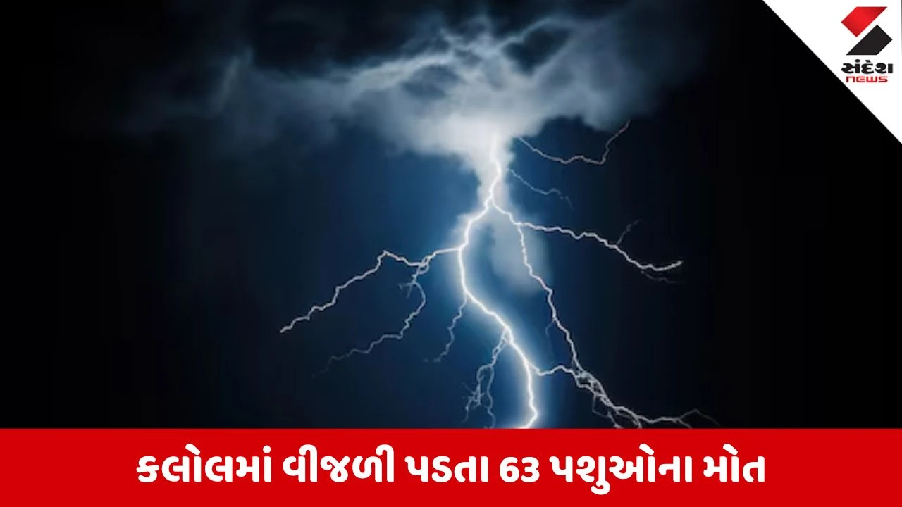 Gandhinagar News: કલોલના મોટી ભોંયણ ગામે વીજળી પડતાં 63 પશુના મોત 