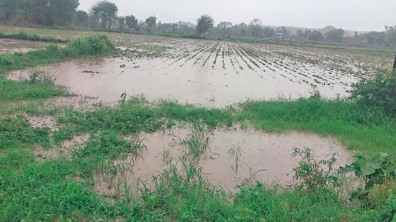 Himatnagar: સુનોખ-વાંસેરાકંપા પંથકમાં ભારે વરસાદ વરસતાં ખેડૂતોમાં આનંદ