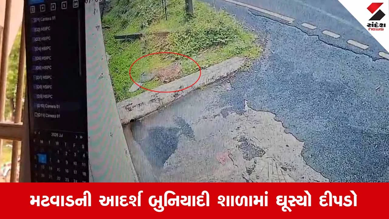 Navsariમાં જલાલપોરની શાળાના બગીચામાં ધોળા દિવસે દીપડાએ મારી લટાર, બાળકોને સ્કૂલમાંથી અપાઈ રજા