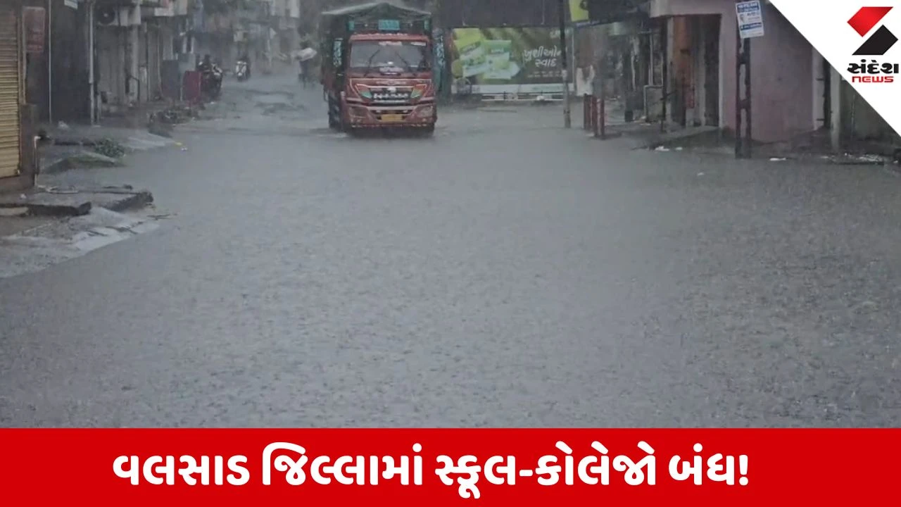 Valsad Rain: ભારે વરસાદ અને 'રેડ એલર્ટ' ને પગલે તમામ શાળા-કોલેજોમાં શૈક્ષણિક રજા જાહેર