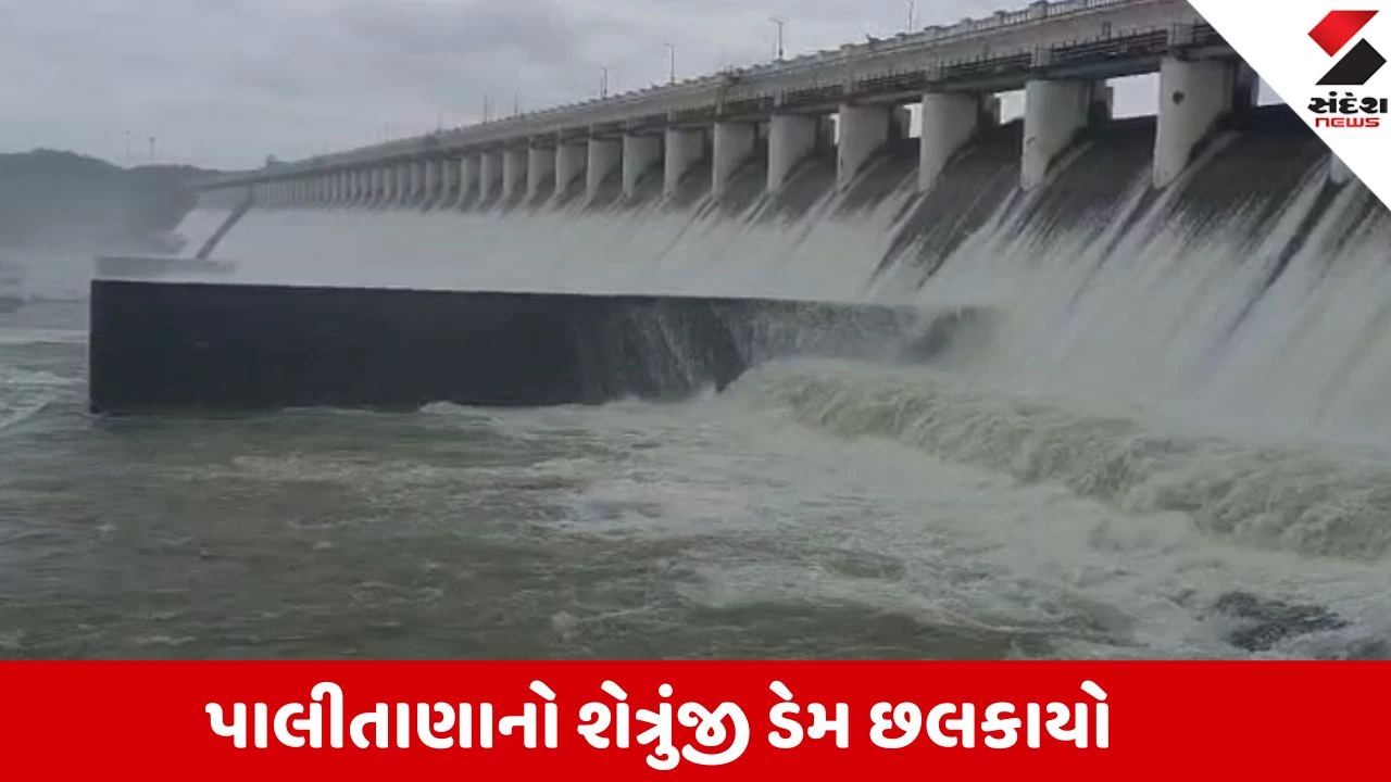 Bhavnagar: પાલીતાણાનો શેત્રુંજી ડેમ ઓવરફ્લો થતા 9,440 ક્યુસેક પાણી છોડાયું, નદીકાંઠાના 20થી વધુ ગામોને એલર્ટ કરાયા