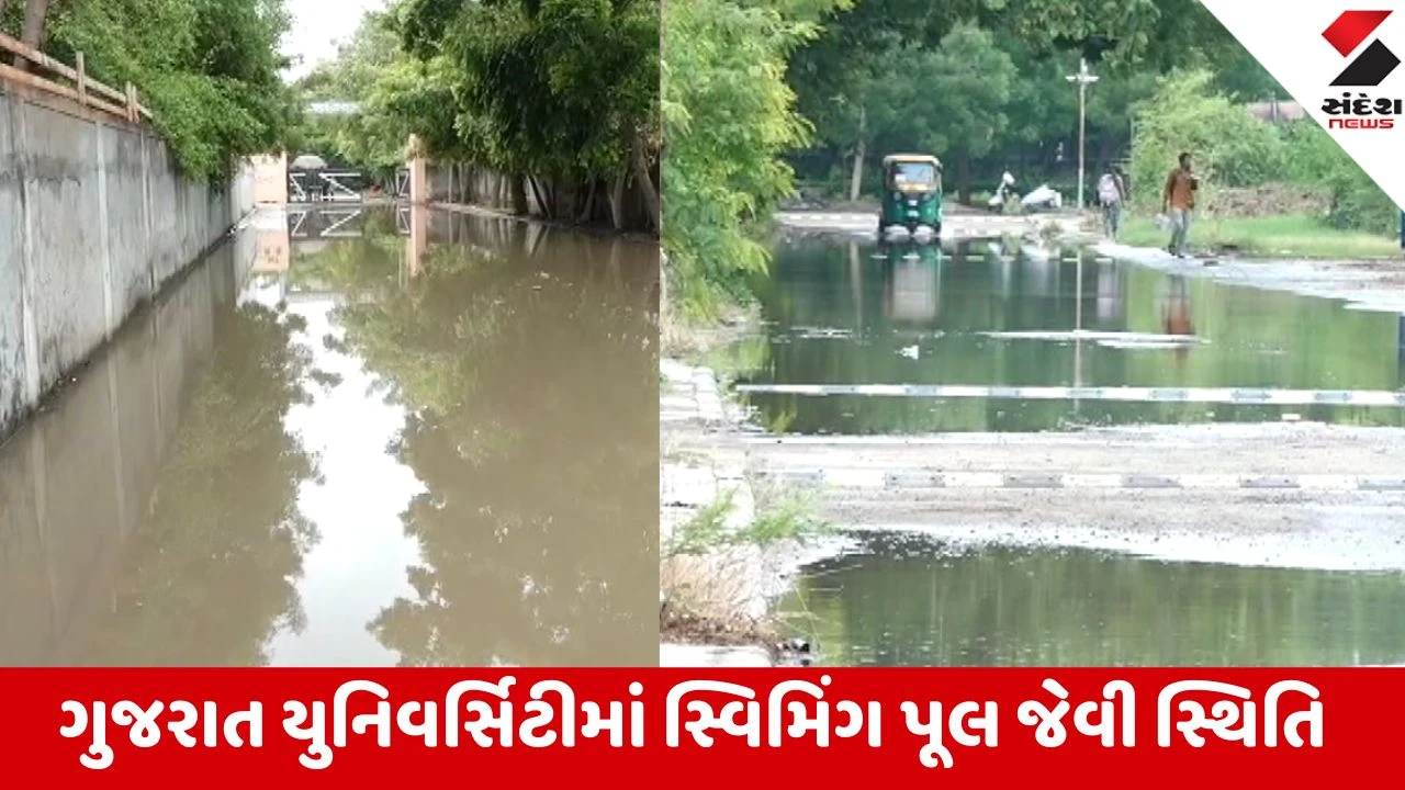 Ahmedabad: ગુજરાત યુનિ. કેમ્પસમાં પાણીનો નિકાલ ન થતાં રોગચાળાની ભીતિ, સમરસ હોસ્ટેલના વિદ્યાર્થીઓ મુશ્કેલીમાં