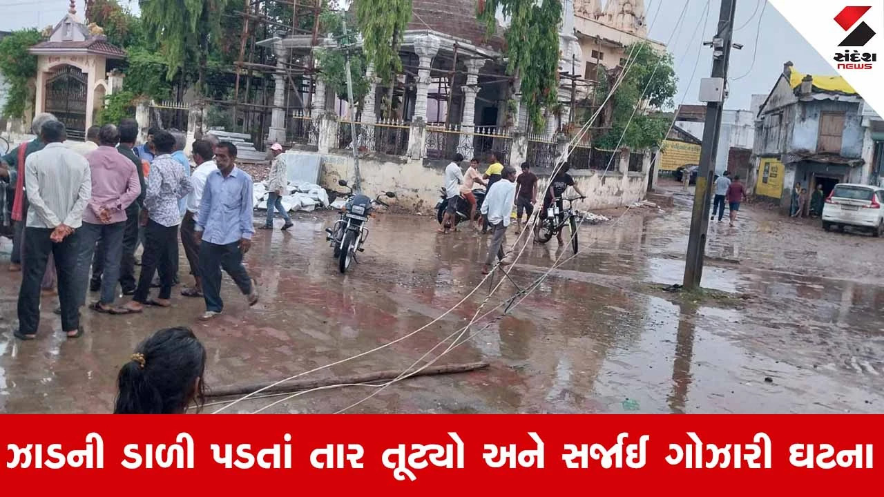 Gandhinagar News: દહેગામના હાલીસામાં જીવતો વીજતાર તૂટી પડતાં 23 વર્ષીય મહિલાનું કમકમાટીભર્યું મોત