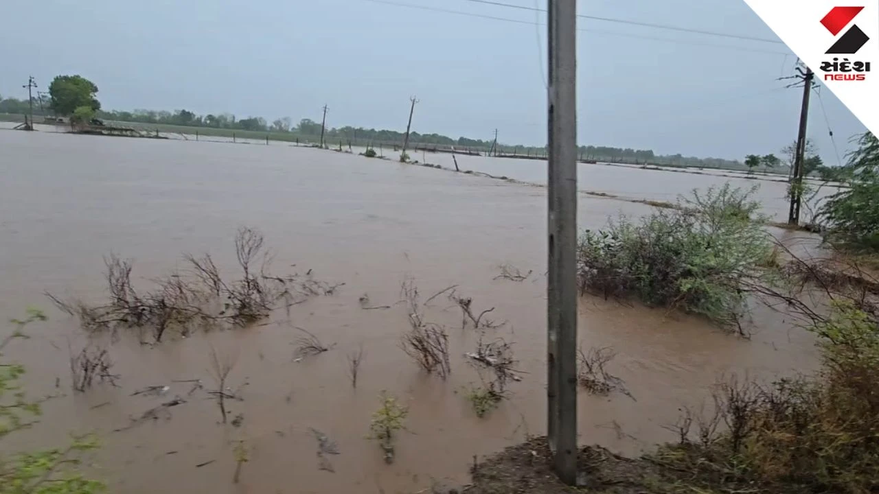 Amreli News: Agricultural Lands Washed Away in Heavy Rain, Farmers Demand Compensation