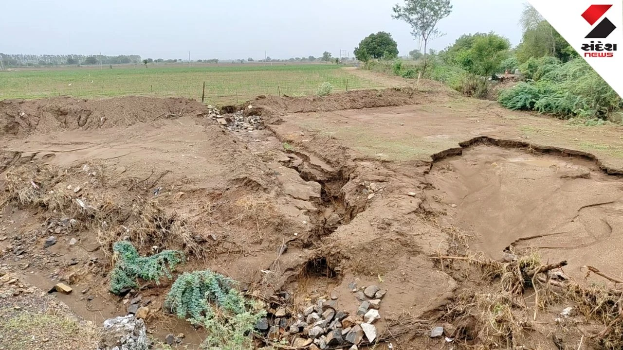 Amreli News: Agricultural Lands Washed Away in Heavy Rain, Farmers Demand Compensation