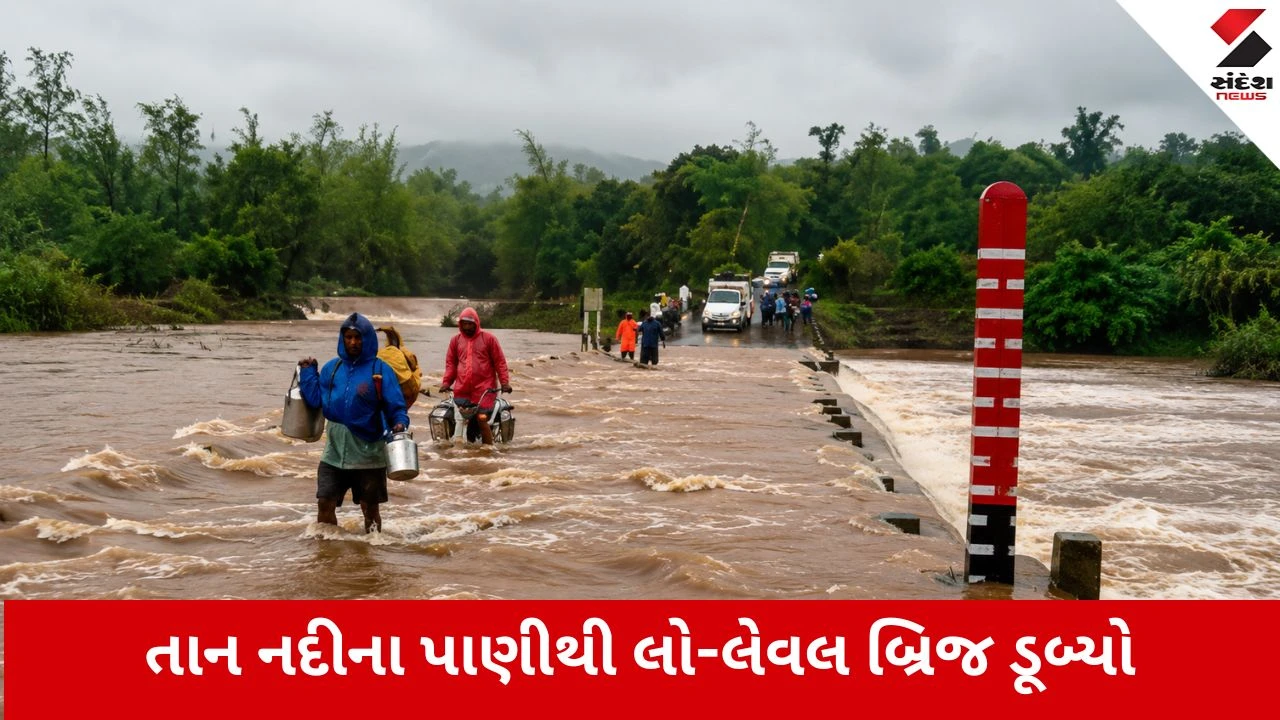 Monsoon 2026: વલસાડમાં ઉપરવાસના ભારે વરસાદથી નદીઓ ગાંડીતૂર, જિલ્લાના 113 રસ્તાઓ બંધ