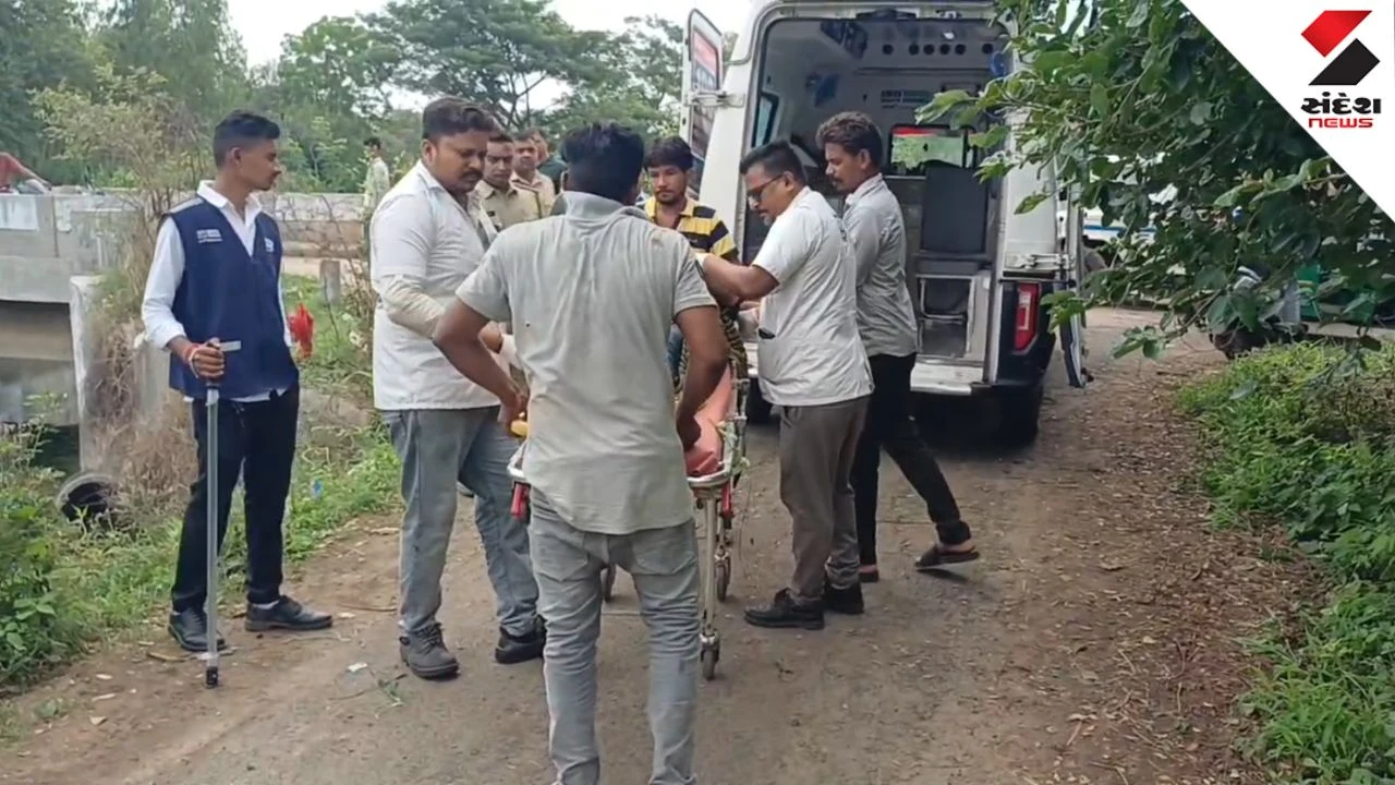 Anand News: Mother Commits Suicide with 5-Year-Old Son in Valasan Canal