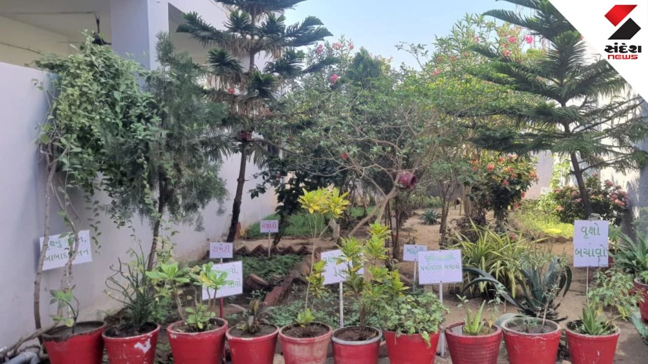 Anand News: Dali Primary School Wins National 'Clean and Green School' Award