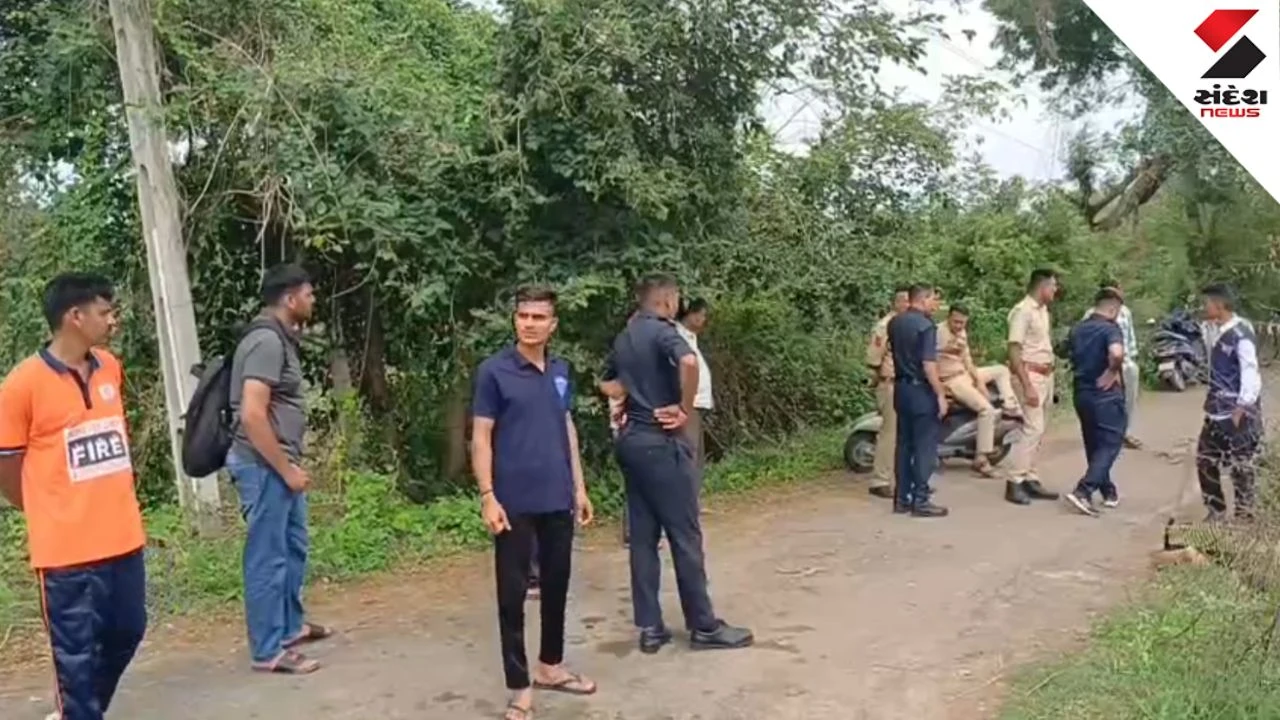 Anand News: Mother Commits Suicide with 5-Year-Old Son in Valasan Canal